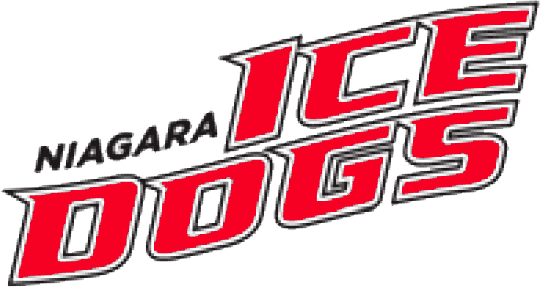 Niagara IceDogs 2007-pres wordmark logo iron on transfers for clothing